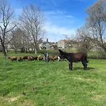 Εξοχικό σπίτι Chao Do Rio - Turismo De Aldeia - Serra Da Estrela