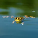 Chao Do Rio - Turismo De Aldeia Сейя