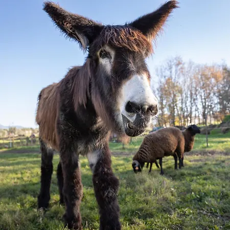 Chão Do Rio - Turismo De Aldeia Seia