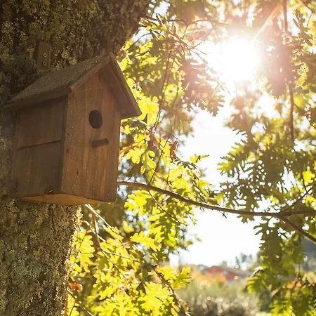 Chao Do Rio - Turismo De Aldeia Country house Seia
