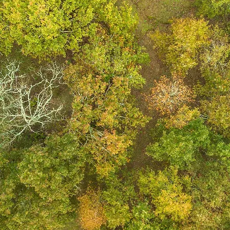 Chão Do Rio - Turismo De Aldeia Casa de Campo
