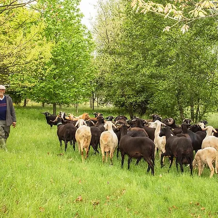 Chao Do Rio - Turismo De Aldeia
