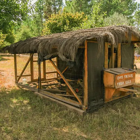 Chao Do Rio - Turismo De Aldeia Country house *