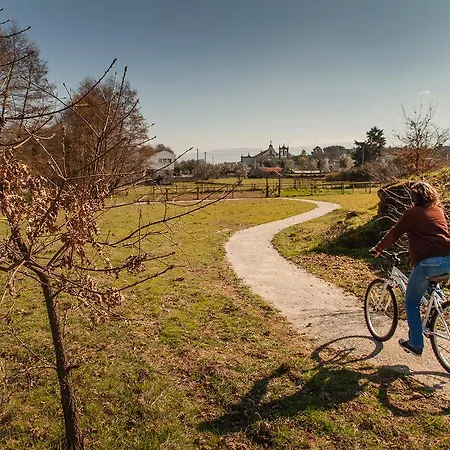 カントリーハウス Chao Do Rio - Turismo De Aldeia セイア