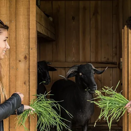 Chao Do Rio - Turismo De Aldeia *