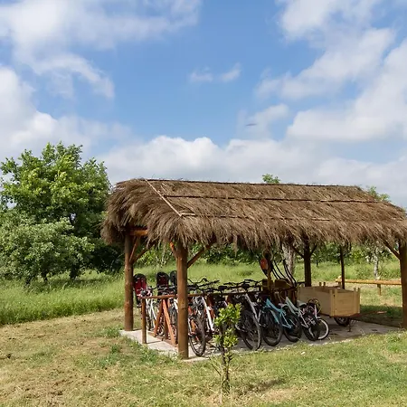 カントリーハウス Chao Do Rio - Turismo De Aldeia セイア