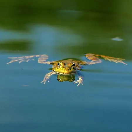 Chao Do Rio - Turismo De Aldeia セイア