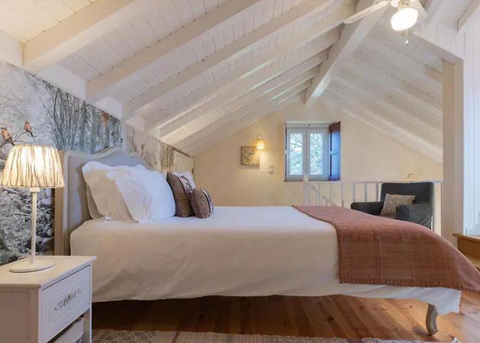 Chao Do Rio - Turismo De Aldeia *