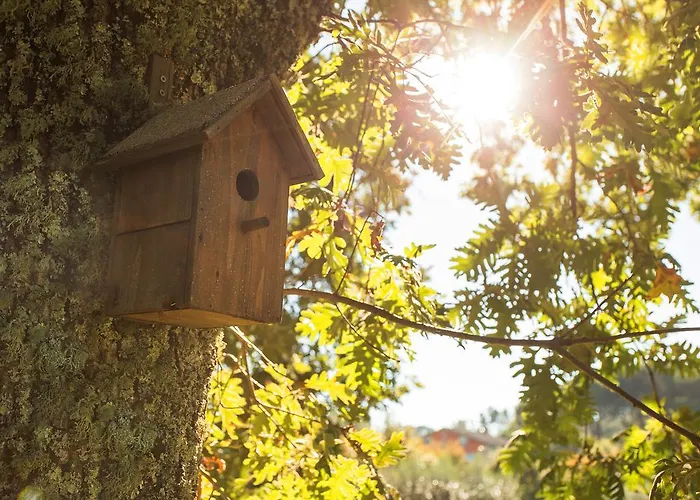 Chao Do Rio - Turismo De Aldeia منزل ريفي سيا