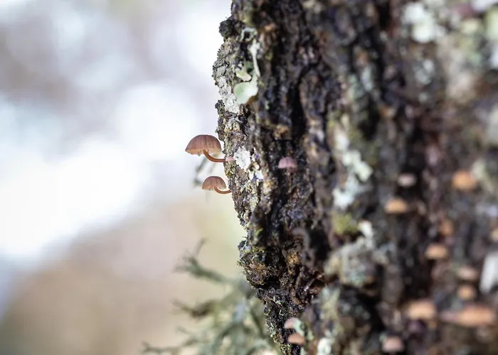 Chao Do Rio - Turismo De Aldeia سيا