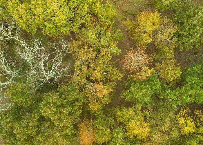 Chao Do Rio - Turismo De Aldeia منزل ريفي