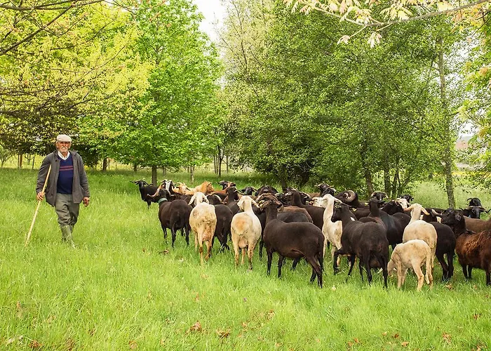 Chão Do Rio - Turismo De Aldeia