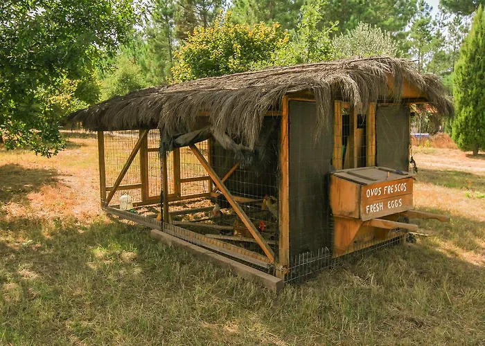Chao Do Rio - Turismo De Aldeia Landhuis *