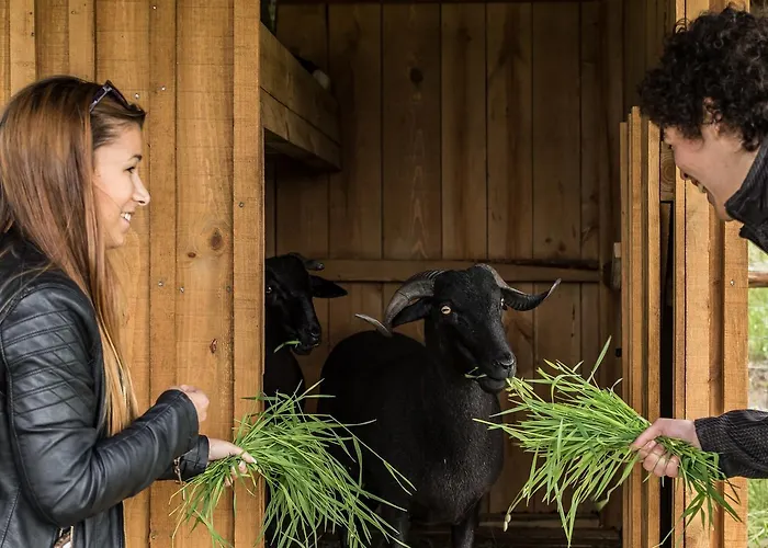 Chão Do Rio - Turismo De Aldeia *