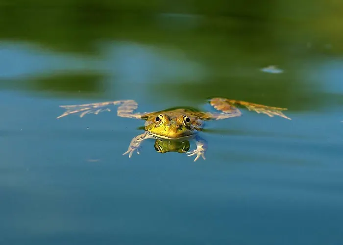 Chao Do Rio - Turismo De Aldeia سيا